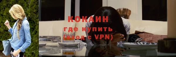 дурь Покачи