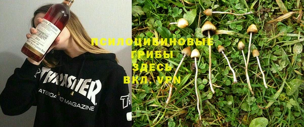 a pvp Армянск